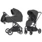 Preview: Carrello Alfa 2 in 1 Set graphite grey